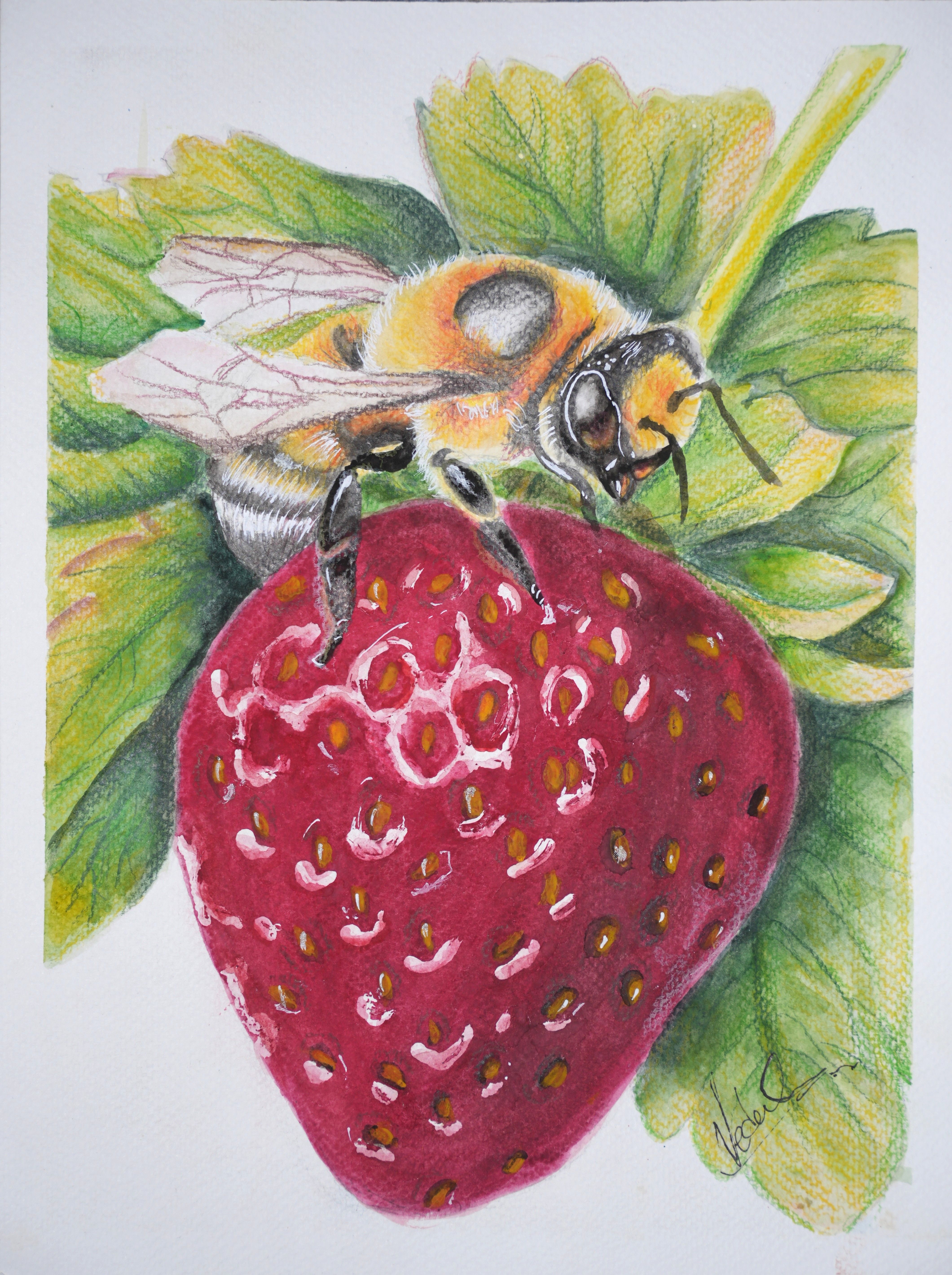 Red strawberry with green leaves and yellow seeds.